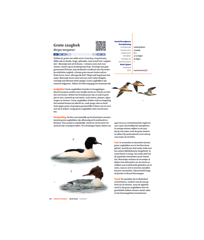 Het product liever eerst testen? Kom dan eens langs bij ons in de winkel