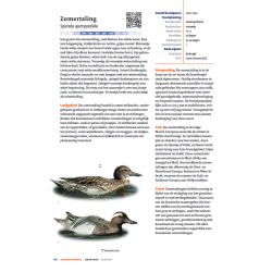 Handboek Vogels van Nederland KNNV