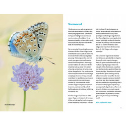 Zakgids Vlinders van de BeNeLux