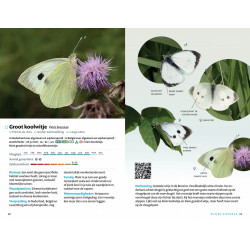 Zakgids Vlinders van de BeNeLux