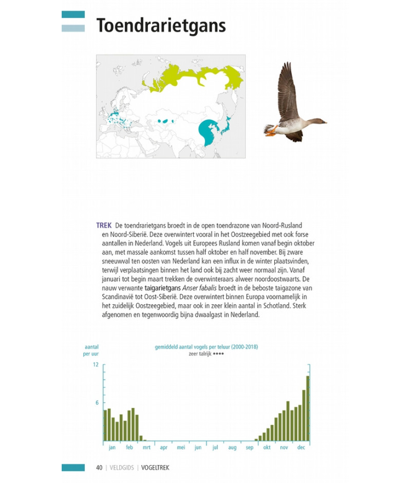 Het product liever eerst testen? Kom dan eens langs bij ons in de winkel