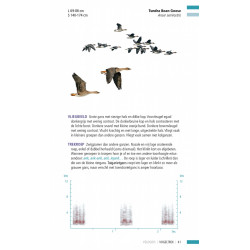 Veldgids Vogeltrek KNNV