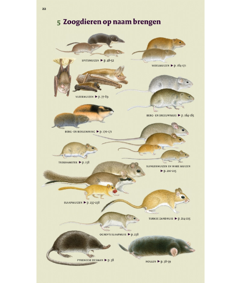 Het product liever eerst testen? Kom dan eens langs bij ons in de winkel