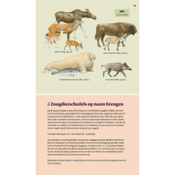 Veldgids Europese Zoogdieren