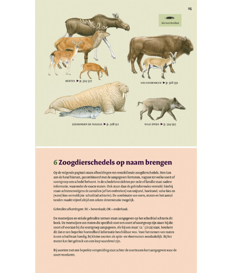 Het product liever eerst testen? Kom dan eens langs bij ons in de winkel