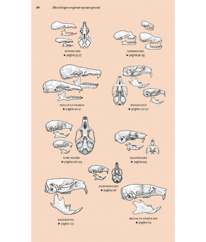 Het product liever eerst testen? Kom dan eens langs bij ons in de winkel