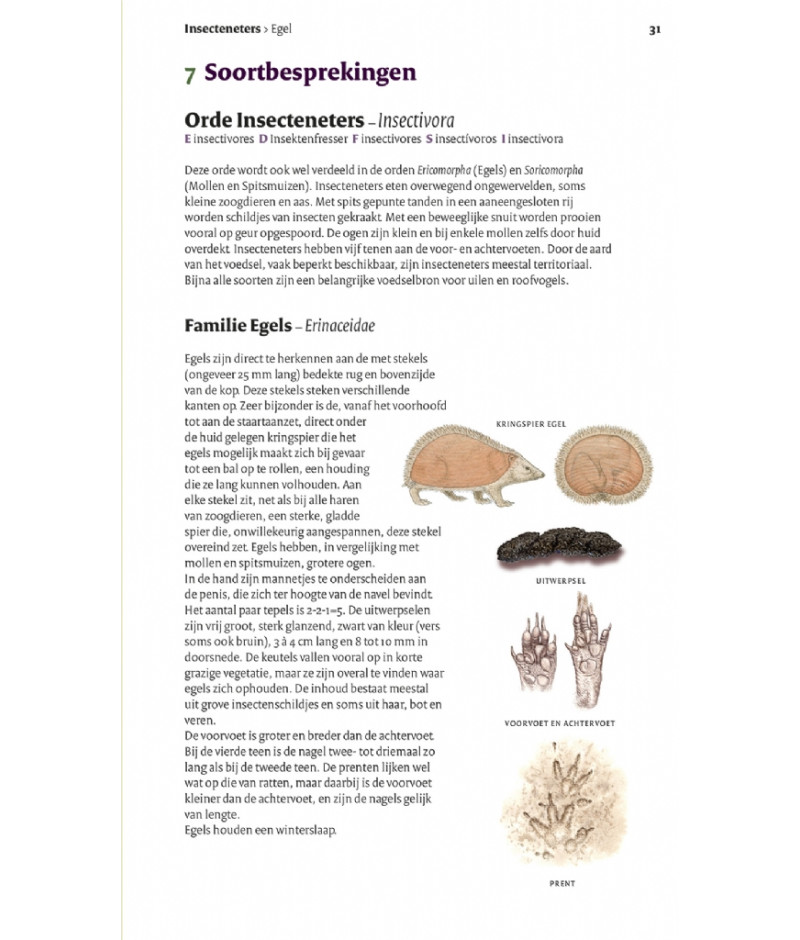 Het product liever eerst testen? Kom dan eens langs bij ons in de winkel