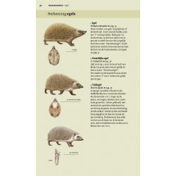 Veldgids Europese Zoogdieren