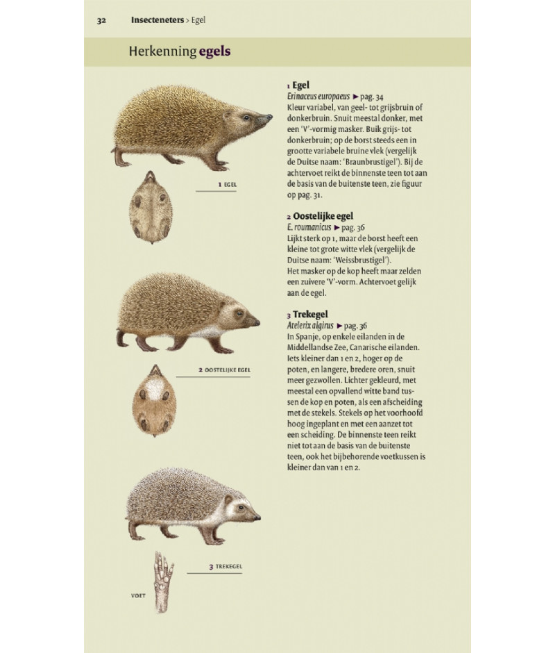 Het product liever eerst testen? Kom dan eens langs bij ons in de winkel