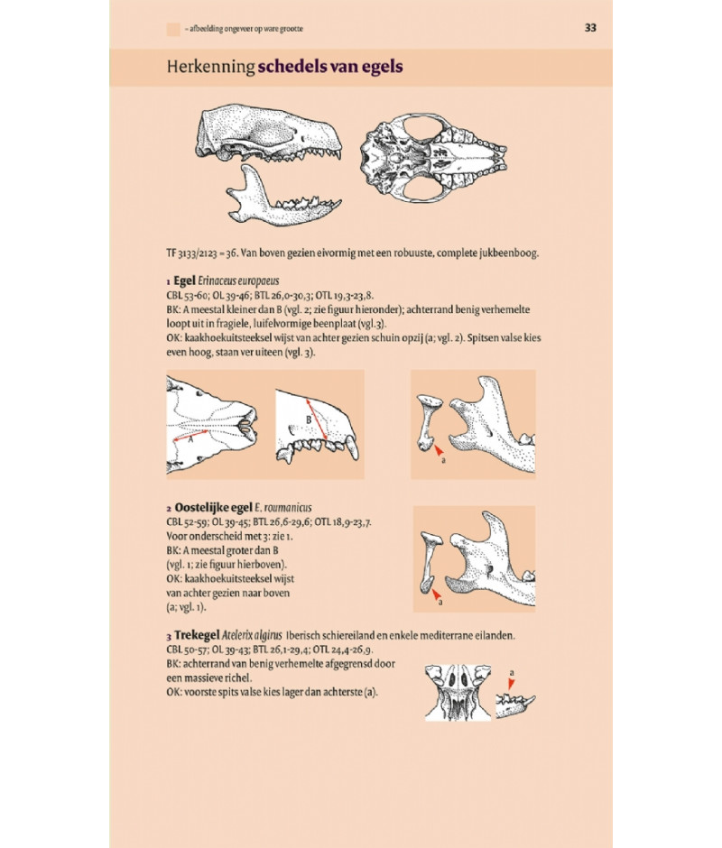 Het product liever eerst testen? Kom dan eens langs bij ons in de winkel