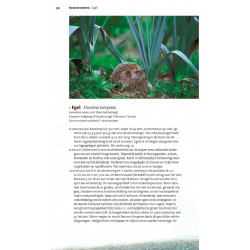 Veldgids Europese Zoogdieren