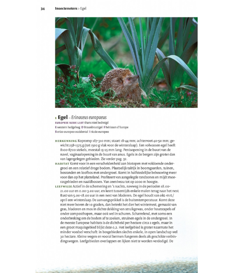 Het product liever eerst testen? Kom dan eens langs bij ons in de winkel