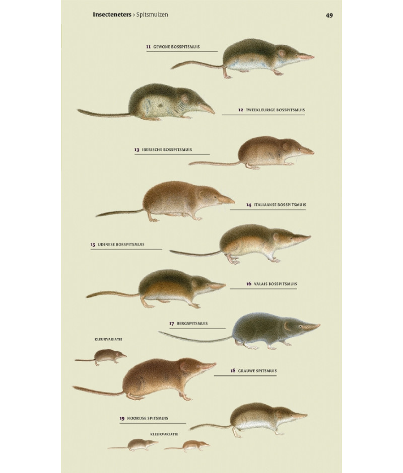 Het product liever eerst testen? Kom dan eens langs bij ons in de winkel