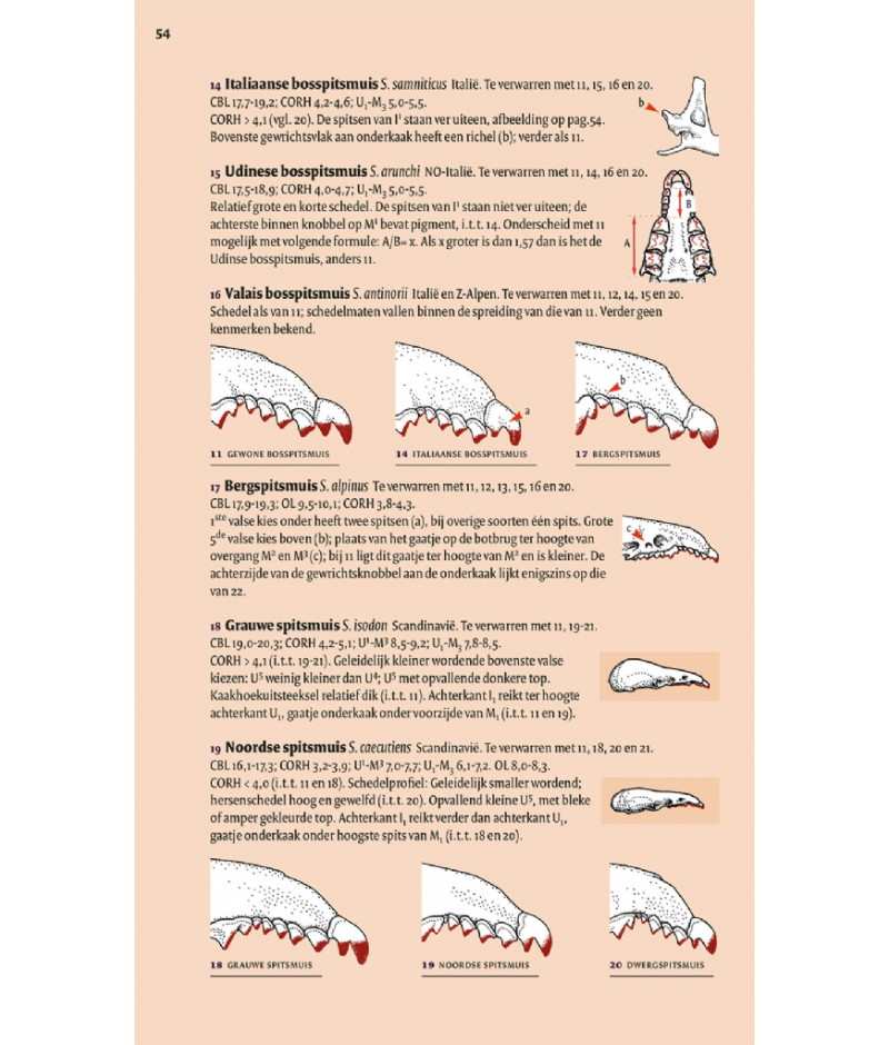 Het product liever eerst testen? Kom dan eens langs bij ons in de winkel