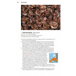 Veldgids Europese Zoogdieren