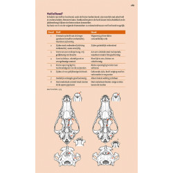 Veldgids Europese Zoogdieren