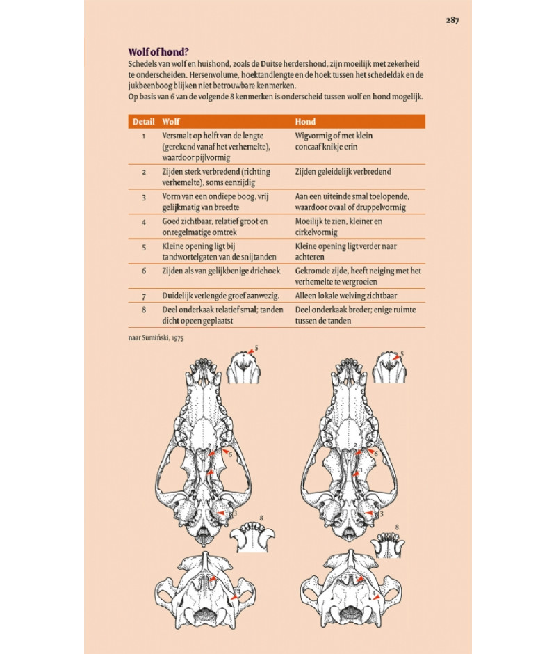Het product liever eerst testen? Kom dan eens langs bij ons in de winkel