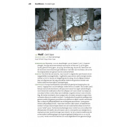 Veldgids Europese Zoogdieren