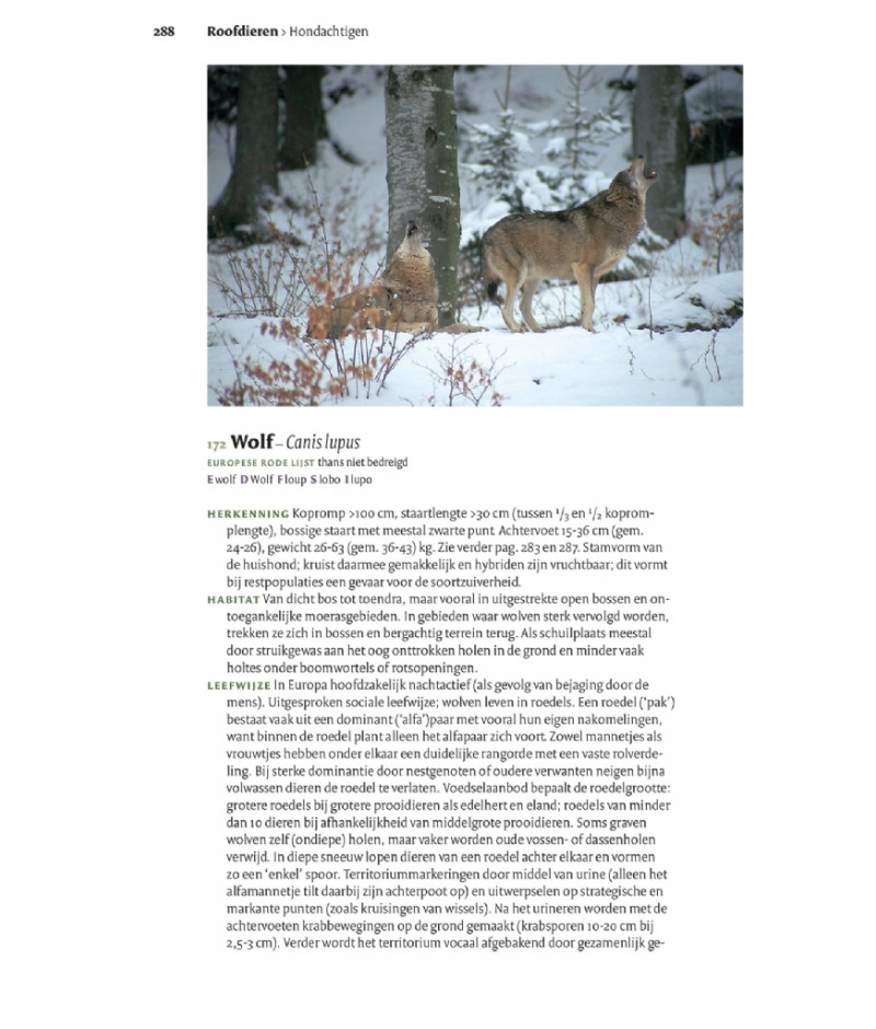 Het product liever eerst testen? Kom dan eens langs bij ons in de winkel