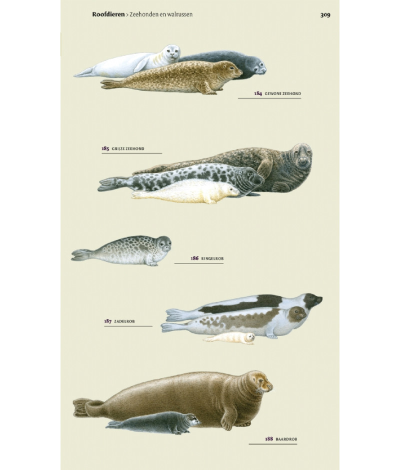 Het product liever eerst testen? Kom dan eens langs bij ons in de winkel