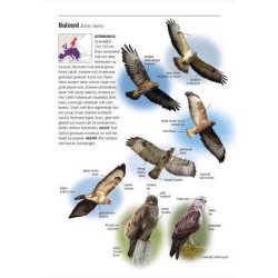 Alle Vogels van Europa