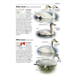 Alle Vogels van Europa