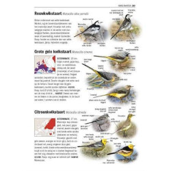 Alle Vogels van Europa