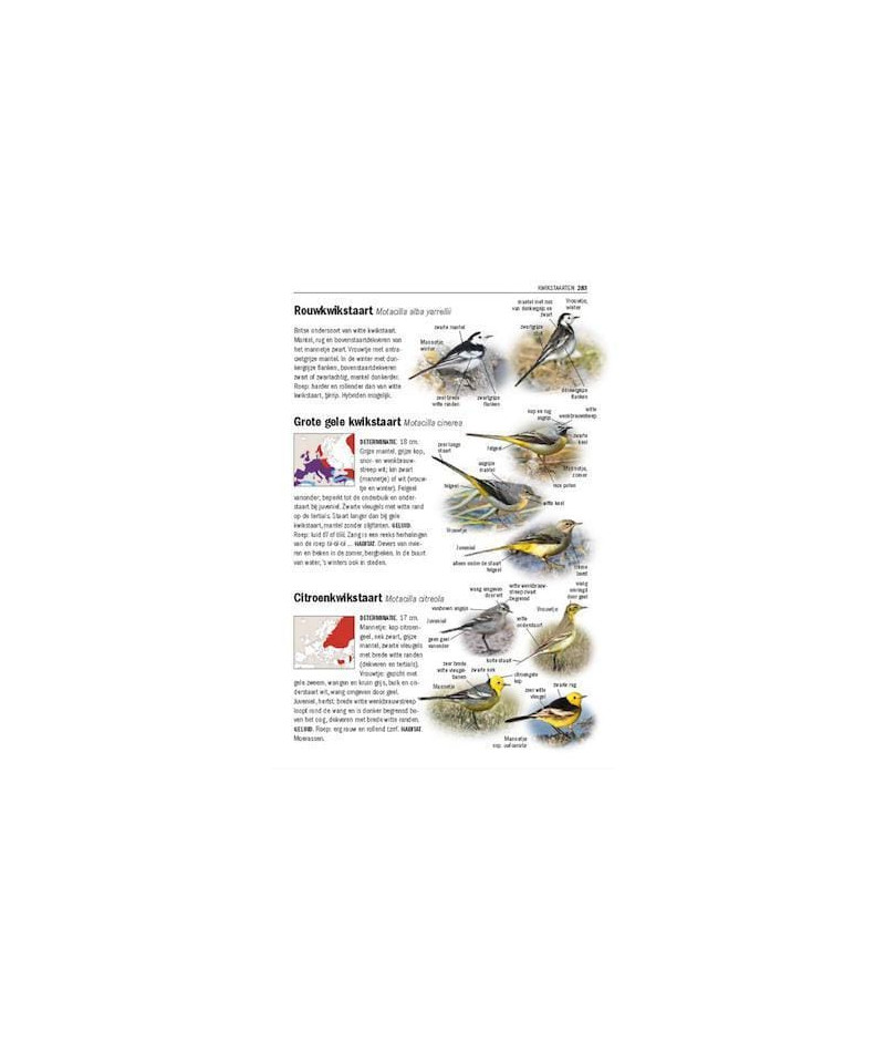 Het product liever eerst testen? Kom dan eens langs bij ons in de winkel