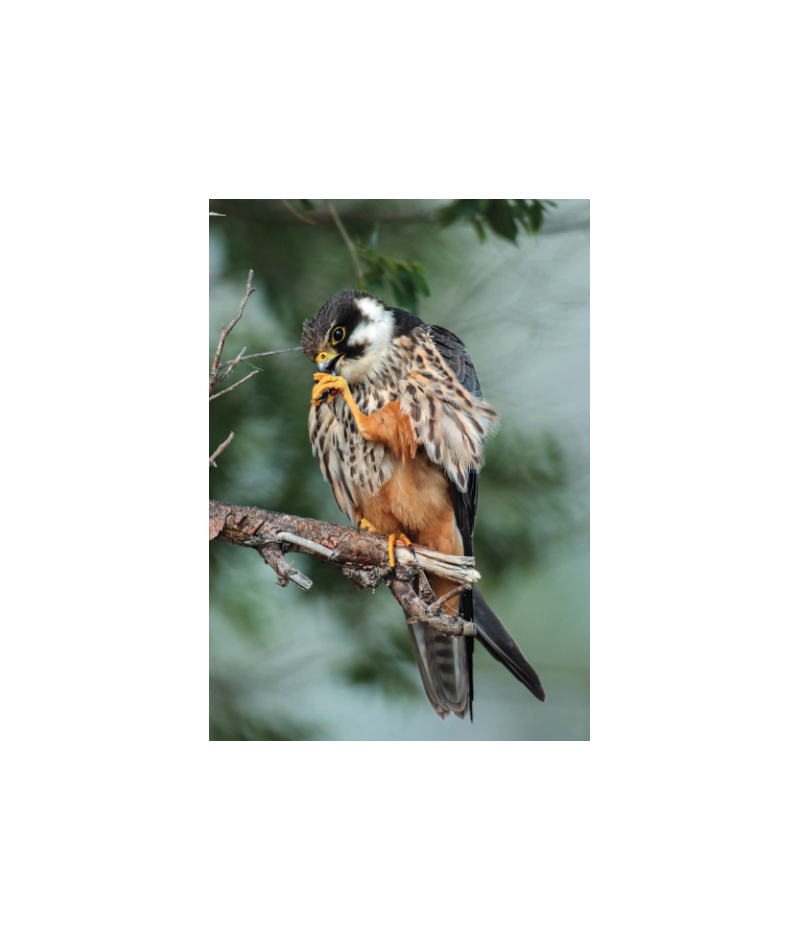 Het product liever eerst testen? Kom dan eens langs bij ons in de winkel