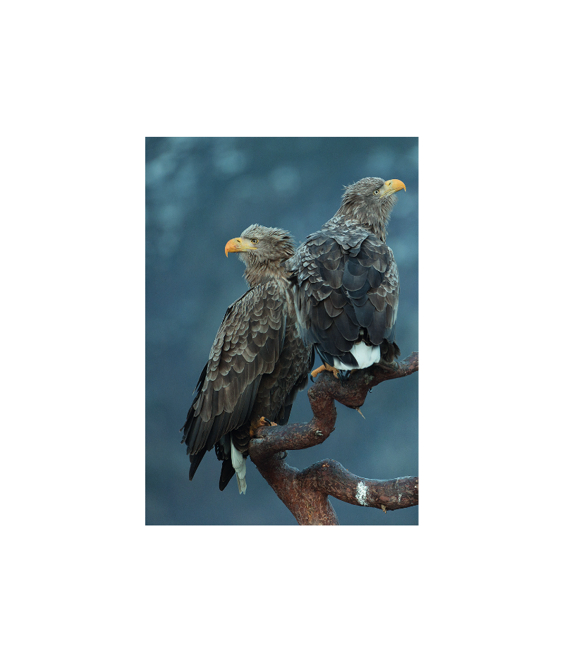 Het product liever eerst testen? Kom dan eens langs bij ons in de winkel