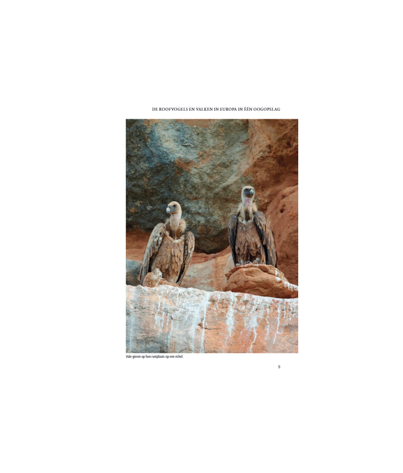 Het product liever eerst testen? Kom dan eens langs bij ons in de winkel