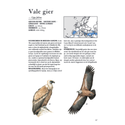 ANWB Roofvogelgids van Europa