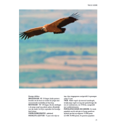 ANWB Roofvogelgids van Europa
