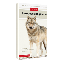 Veldgids Europese Zoogdieren