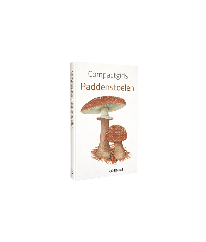 Compactgids Paddenstoelen