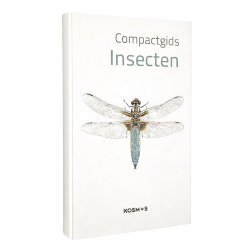 Compactgids Insecten