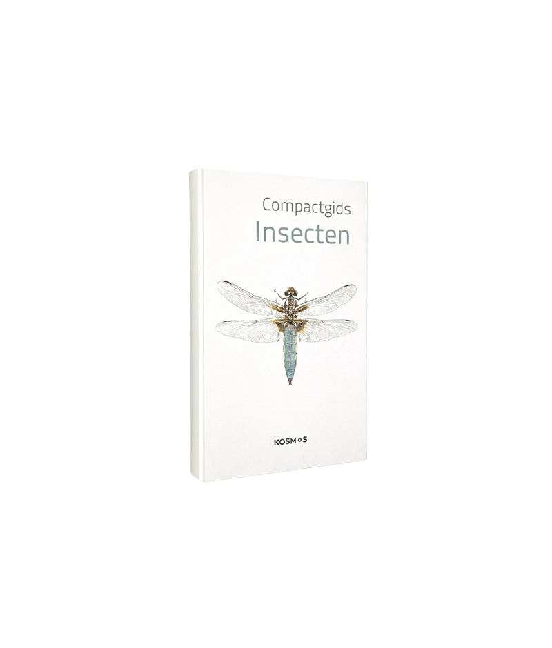 Compactgids Insecten