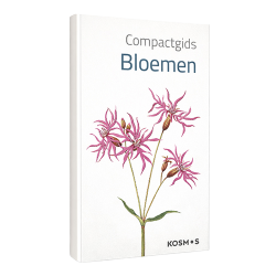 Compactgids Bloemen