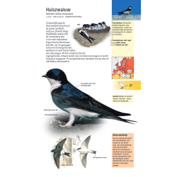 Welke vogel is dat?