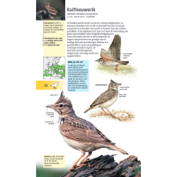 Welke vogel is dat?