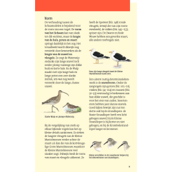 Welke vogel is dat?