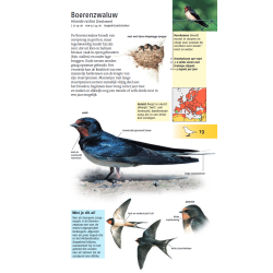 Welke vogel is dat?