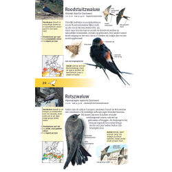 Welke vogel is dat?