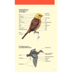 Welke vogel is dat?
