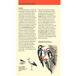 Welke vogel is dat?
