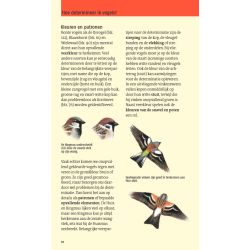 Welke vogel is dat?