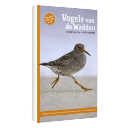 Vogels Van De Wadden