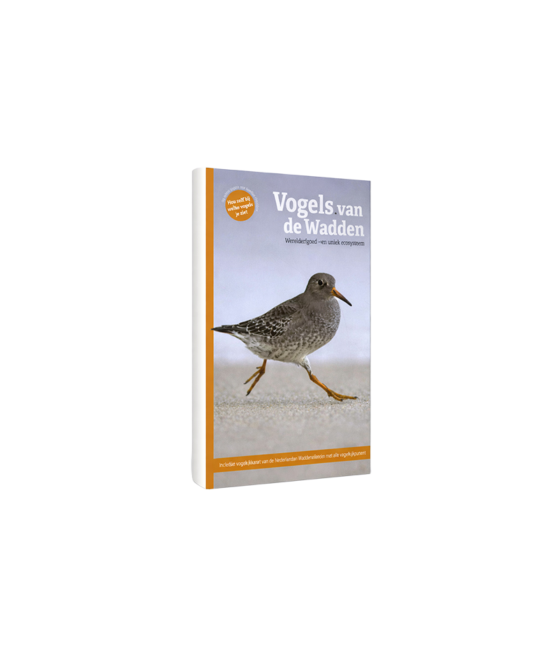 Vogels Van De Wadden