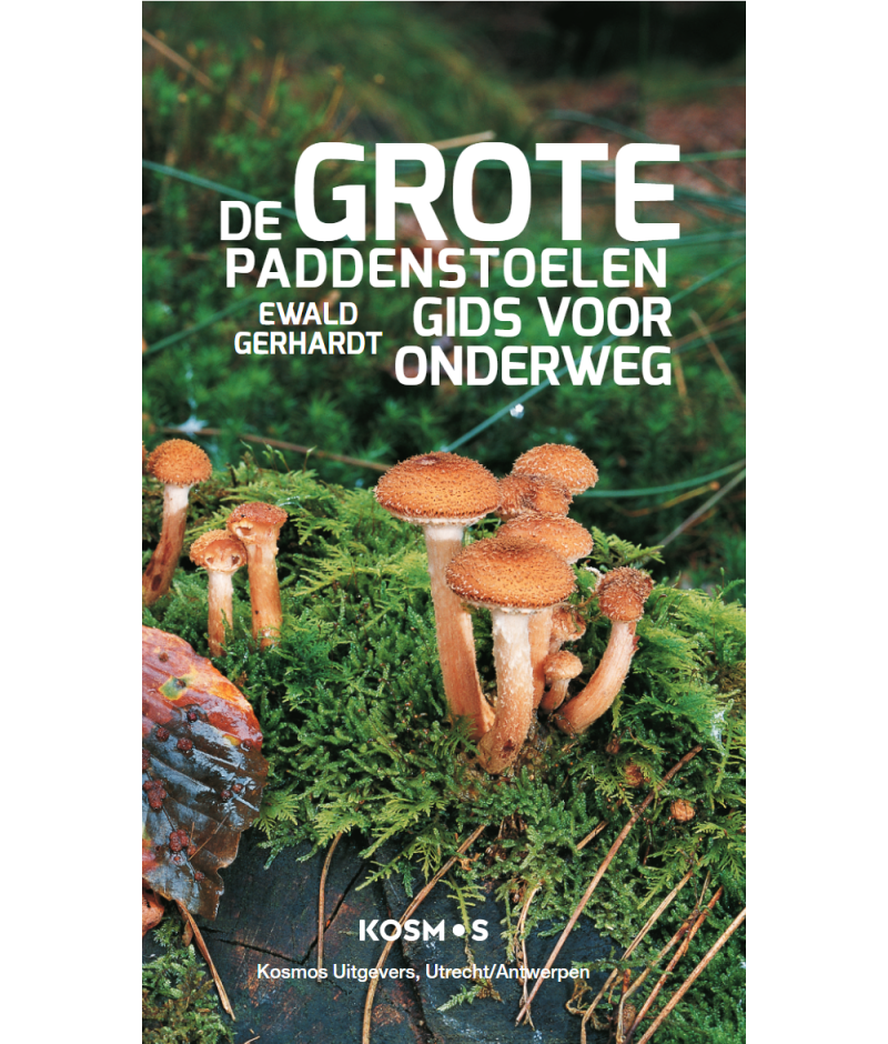 Het product liever eerst testen? Kom dan eens langs bij ons in de winkel
