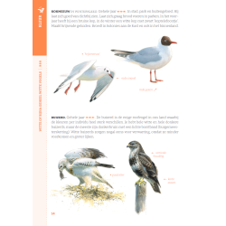 Gewiekste Vogelgids